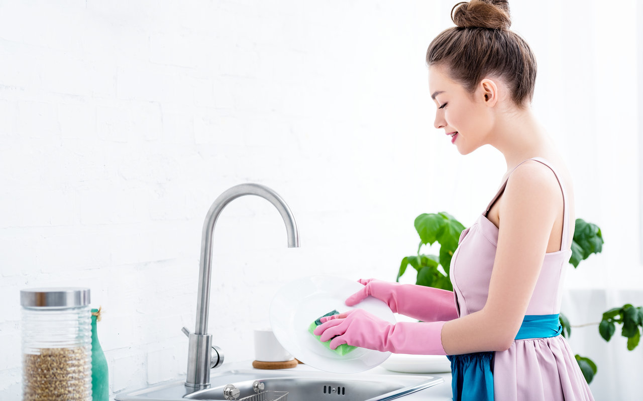 kitchen sink sponge germs
