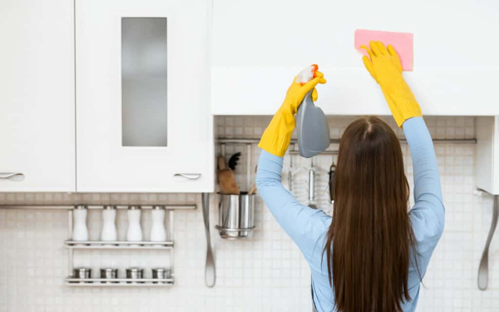 Small Apartment Cleaning: Tips for Keeping Your Space Tidy