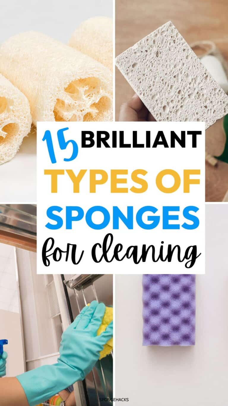 Learn The Differences Between The 5 Types of Cleaning Sponges