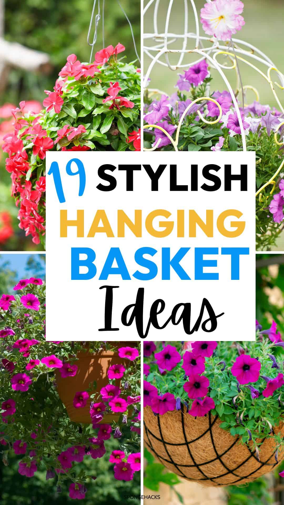 19 Hanging Basket Ideas (Stylish Tips & Tricks)